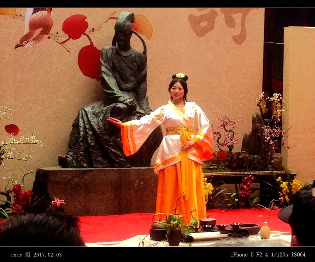 DFCT-64茶艺表演
