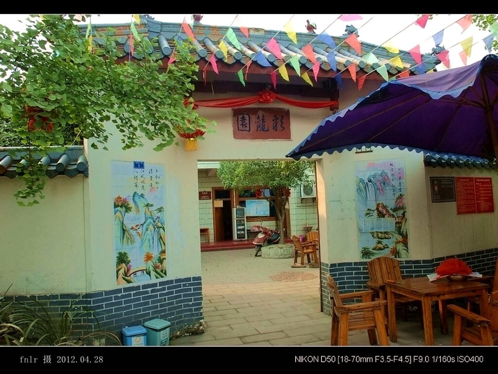 PDYA-31彩龙园