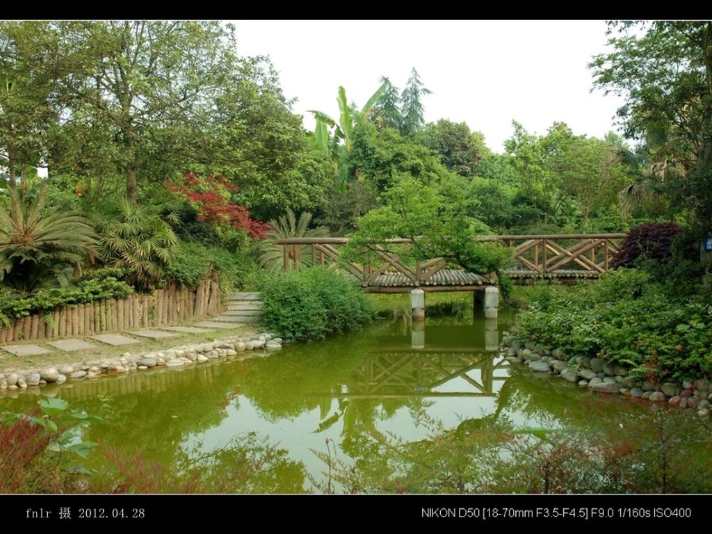 PDYA-40中华盆景园的庭院