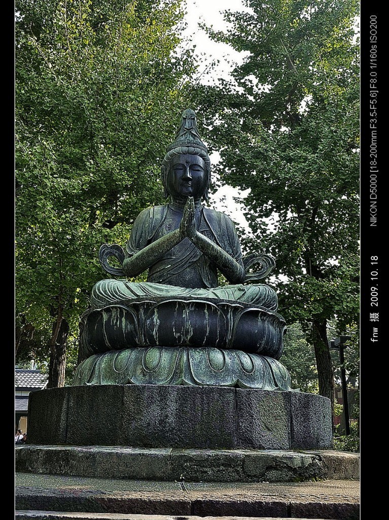 RBdj-48东京浅草寺的观世音菩萨:相传，在推古天皇三十六年(公元628年)，有两个渔民在宫户川捕鱼，捞起了一座高5.5厘米的金观音像，附近人家就集资修建了一座庙宇供奉这尊佛像，这就是浅草寺。