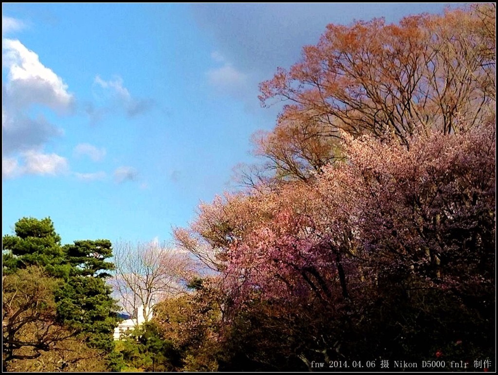 RBjd-17京都二条城德川家康