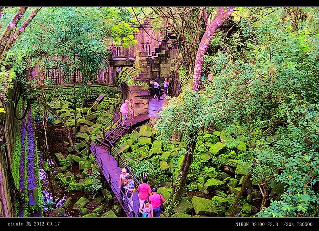 GMxwg-57小吴哥密林景观