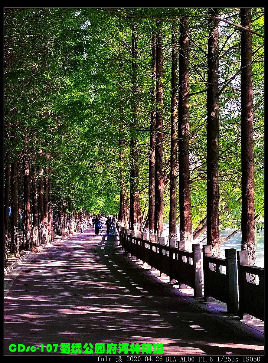 疫后重游郫都永靖蜀绣公园