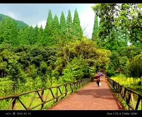 4青城山停车场出口