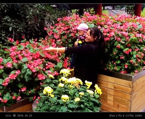 HH-911花前留影