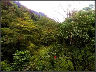 QCS-80又一村文君酒楼观景