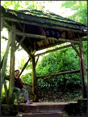 QCS-116后山竹香亭