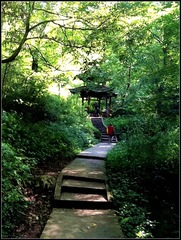 QCS-120到后山灵芝亭休憩