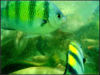 TGPJ_072来到你的面前