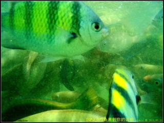 TGPJ_072来到你的面前