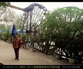 PBTH-172三道堰镇田园风情