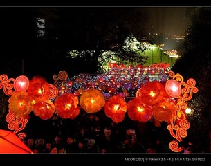 HDH-19花团锦簇迎虎年