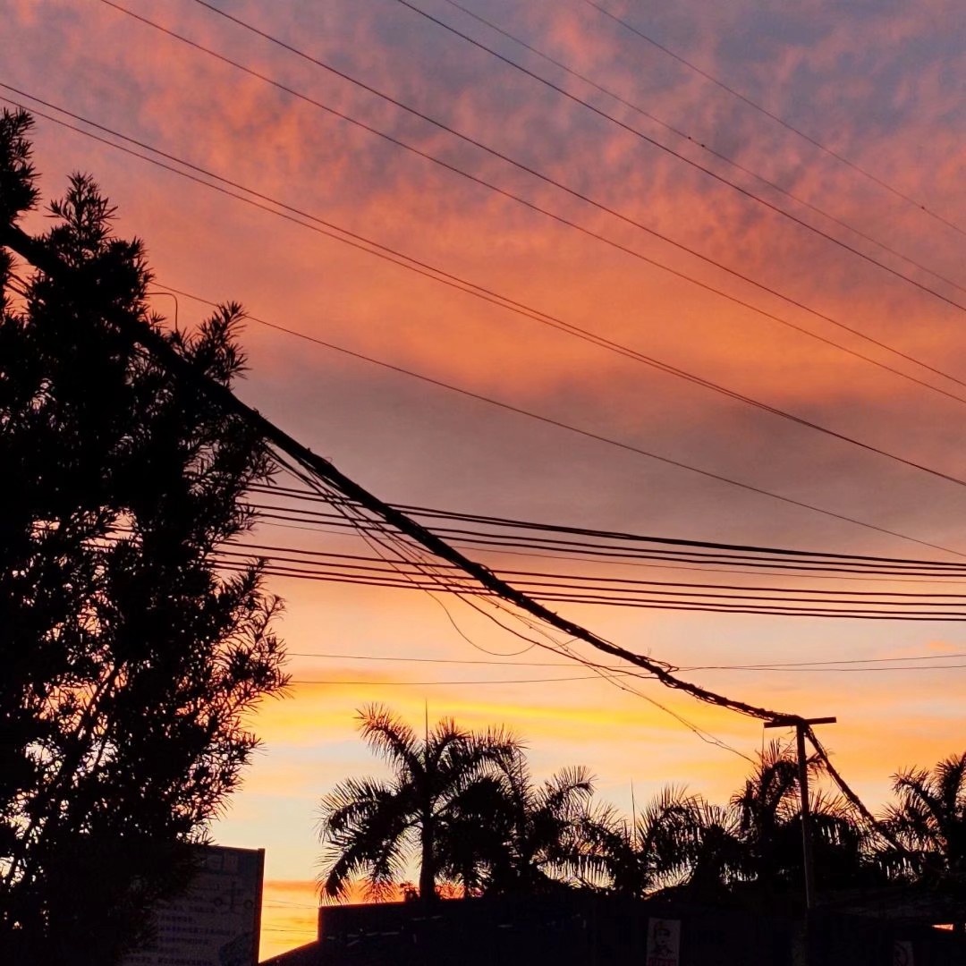 夏日里的遗憾一定会被温柔秋风化解