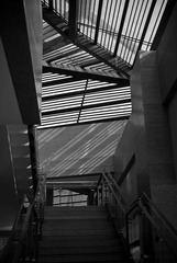 20091206-DSC_0637