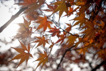20091206-DSC_0646