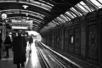 20101013-_DSC0262