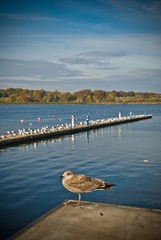 20101023-_DSC0177