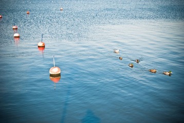 20101023-_DSC0183