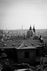 20101127-_DSC0269