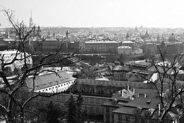 20101127-_DSC0423