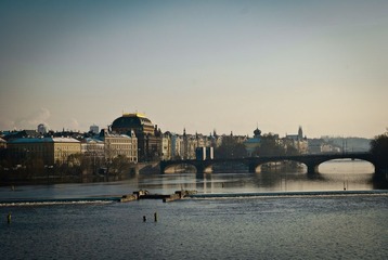 20101127-_DSC0497