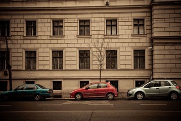 20110221-_DSC0037