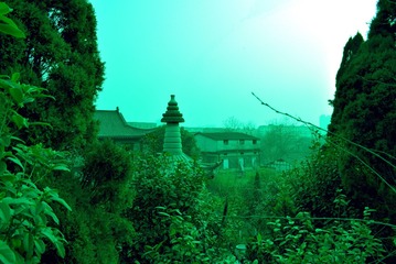 DSC_0035_