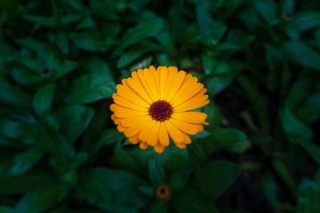 200911