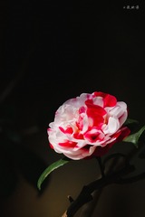 199805