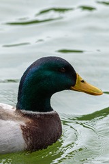 280659