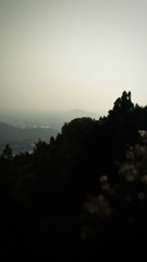 2934643