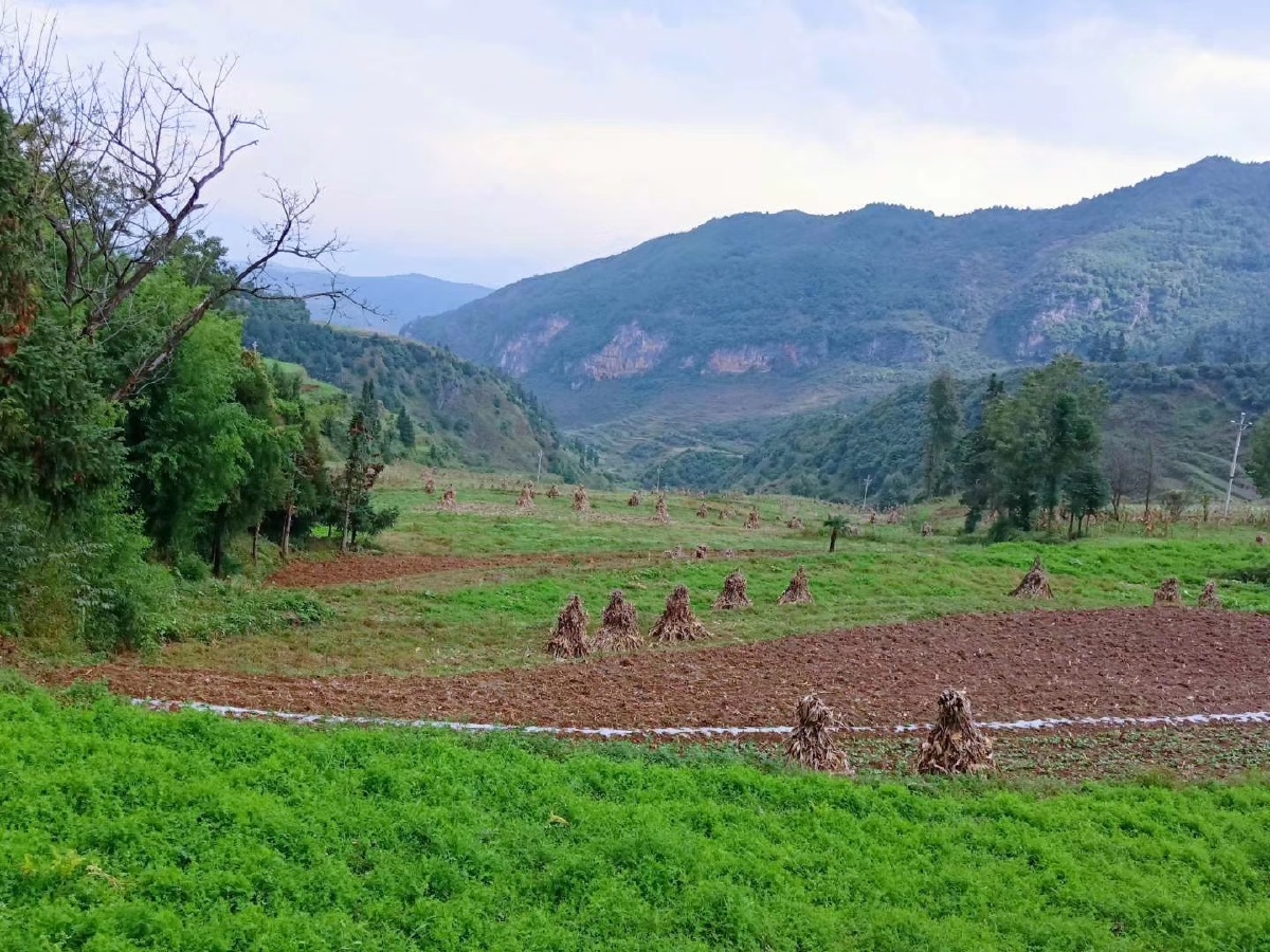 云南行大美曲靖农村