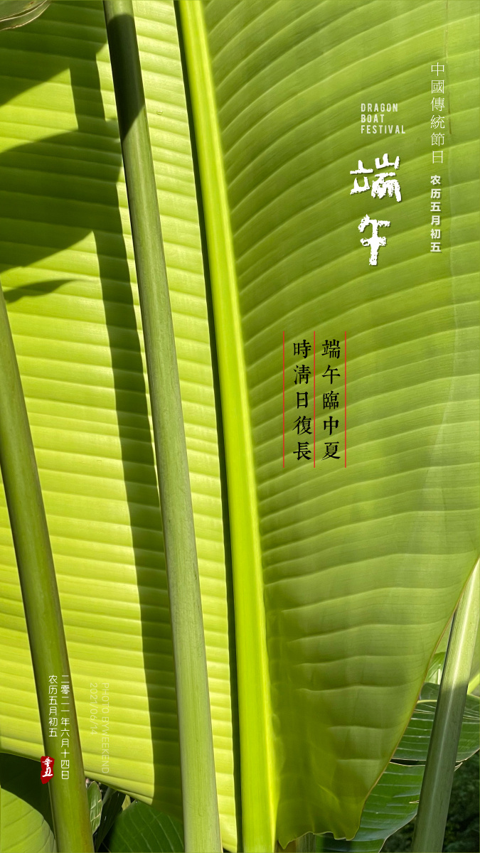 每日一图特辑我的视线mysight农历五月初五中国传统节日端午dragon