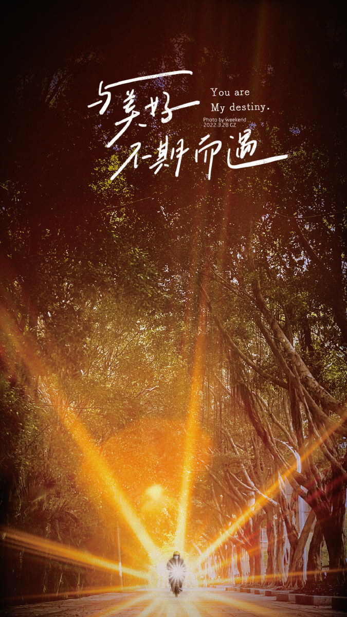 每日一图特辑我的视线mysight纪录我们的城市与美好不期而遇meet