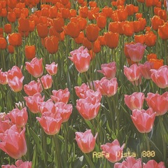 Optional("5CC1370D-829D-464D-B41C-EDA9F8EC865C/L0/001")