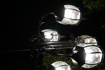 394541