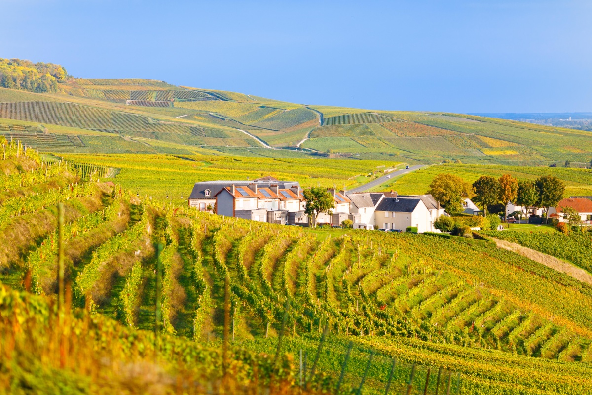 法国香槟区首府兰斯香槟之旅 - 邗左书蠹 - 图虫