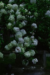 4EE8C134-7CC8-4B86-8924-39387859530D/L0/001