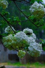 3CFF94BD-9707-4F31-86B1-7EE41F994FEA/L0/001