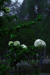 56B4E7A4-D13C-4E26-8768-007AA621B35A/L0/001