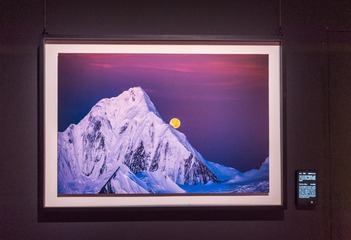 1000059077