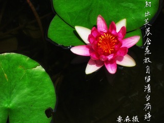 E76C0601-815D-44F0-9AE8-3830696EC5D6/L0/001