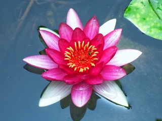 792F28CE-FE01-4B6F-AD74-7E9C18B1F235/L0/001