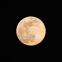 F19D0D70-84D4-4944-BEAB-E2E8EDE5C49D/L0/001