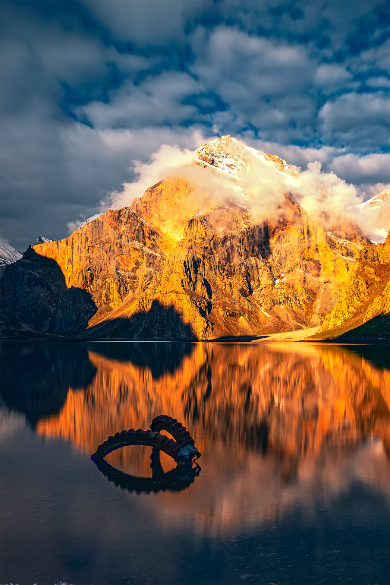 12051211图虫一周精选