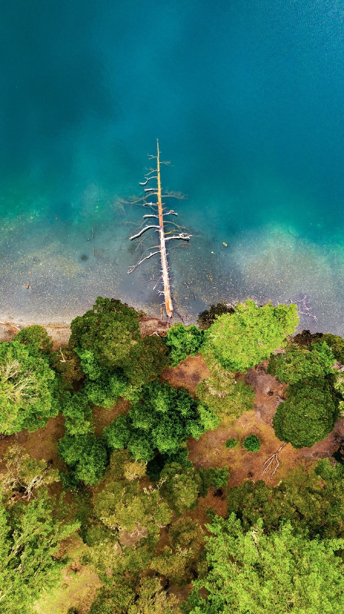 12051211图虫一周精选