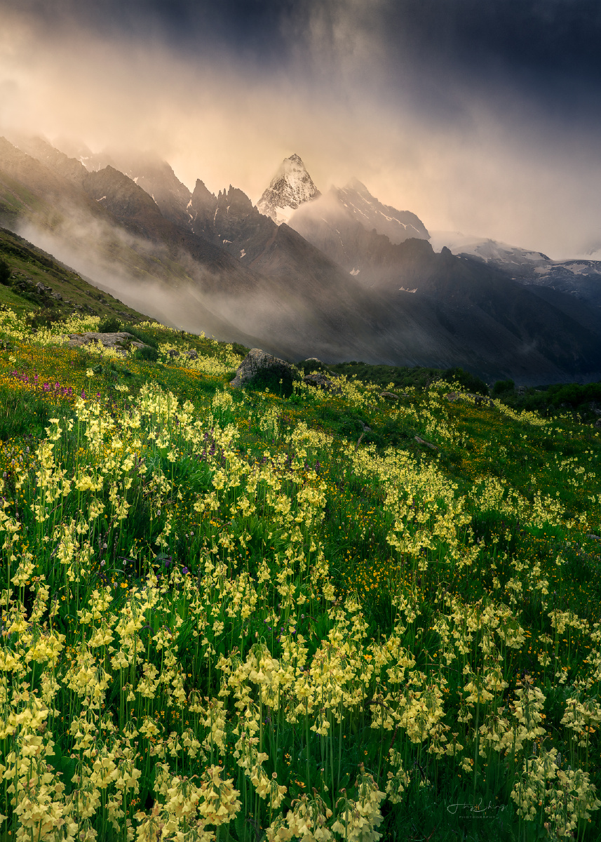 12051211图虫一周精选