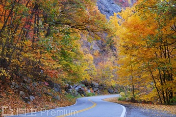 Winding road in Autumn woods with colorful foliage tree in rural area