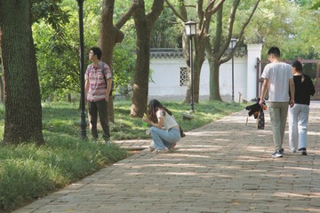 D33A98B6-B66D-4D69-BE10-5D5DCB1B17C2/L0/001