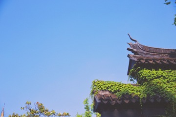 781BF49A-3526-4B3A-9AF1-CC6C1EEC8365/L0/001